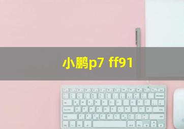 小鹏p7 ff91